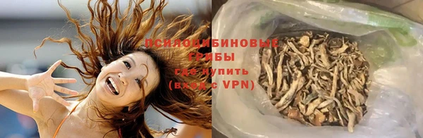 ALPHA-PVP Новодвинск
