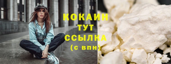 дмт Нея