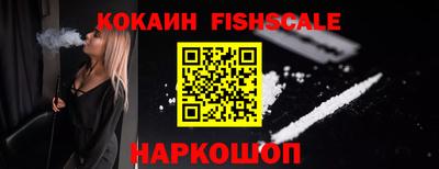 дмт Камышлов
