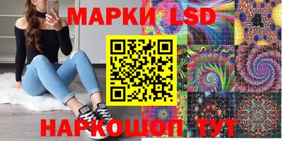 дмт Камышлов