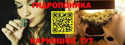 дмт Камышлов