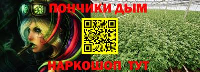 крисы Абакан