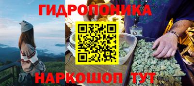 дмт Камышлов