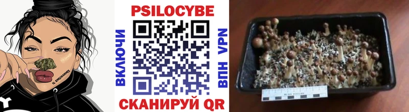 Галлюциногенные грибы мицелий  Нягань 