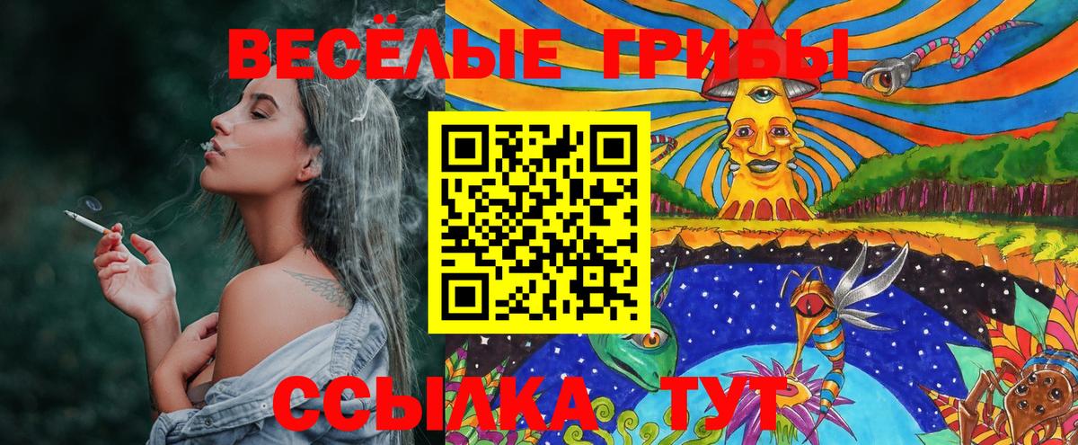 Галлюциногенные грибы Psilocybe  Вход с VPN  Нягань 