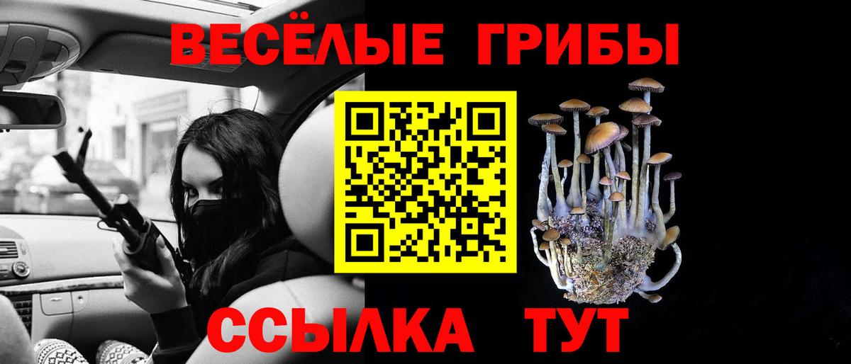 Галлюциногенные грибы Psilocybine cubensis  Нягань  Галлюциногенные грибы Cubensis 